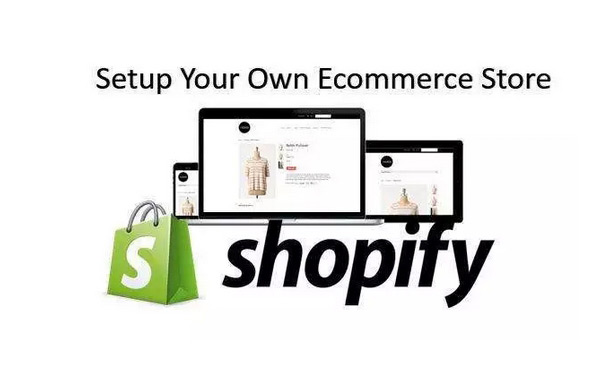 Shopify獨立站流量來源分析