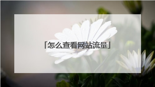 網(wǎng)站日均流量怎么看？網(wǎng)站日均訪問量查詢？