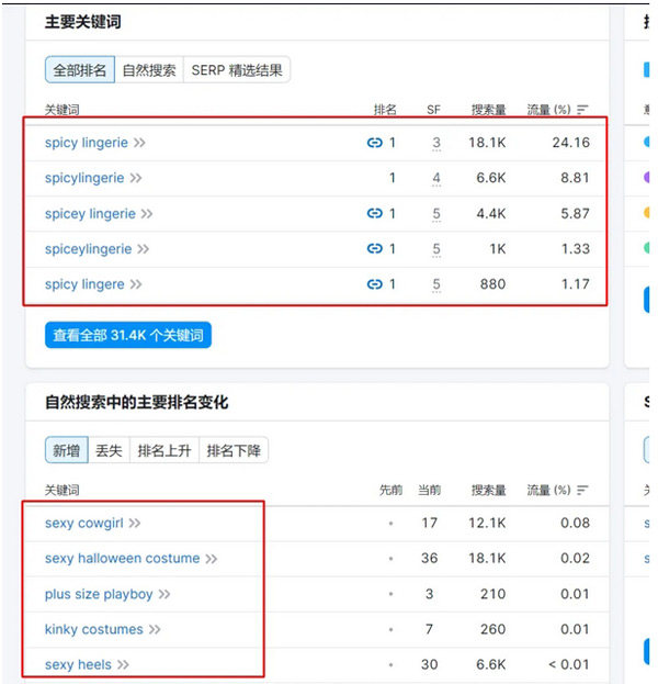 95%的獨(dú)立站沒流量，獨(dú)立站引流真的那么難嗎？